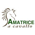@amatriceacavallo